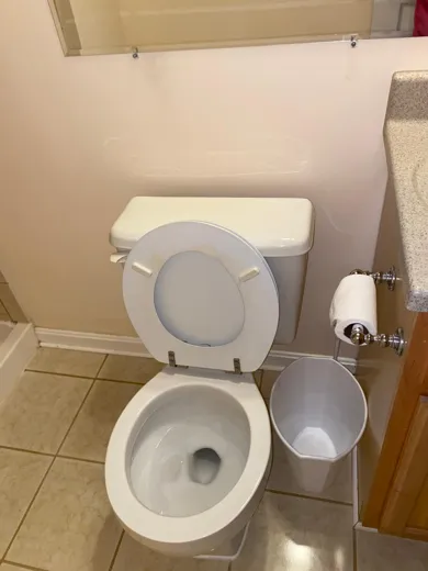 Toilet and bathroom floor cleaned and disinfected
