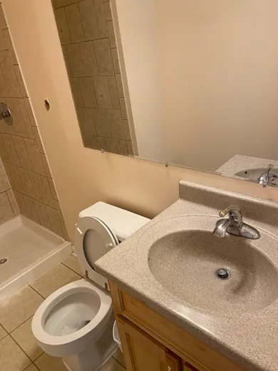 Bathroom vanity and toilet detailed clean