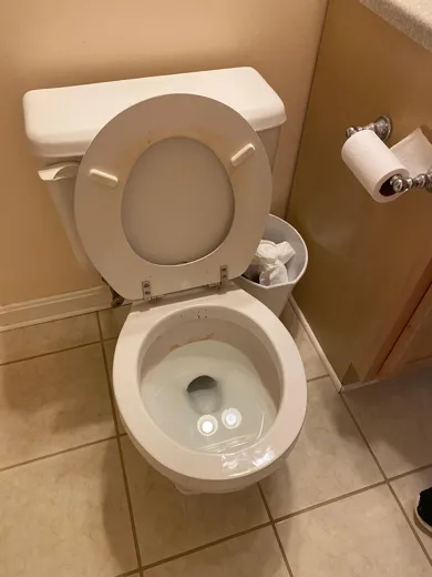 Toilet cleaned inside and out with floor detailed