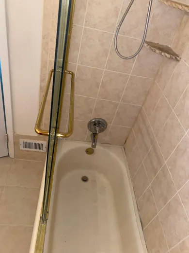Shower with gold trim descaled and detailed